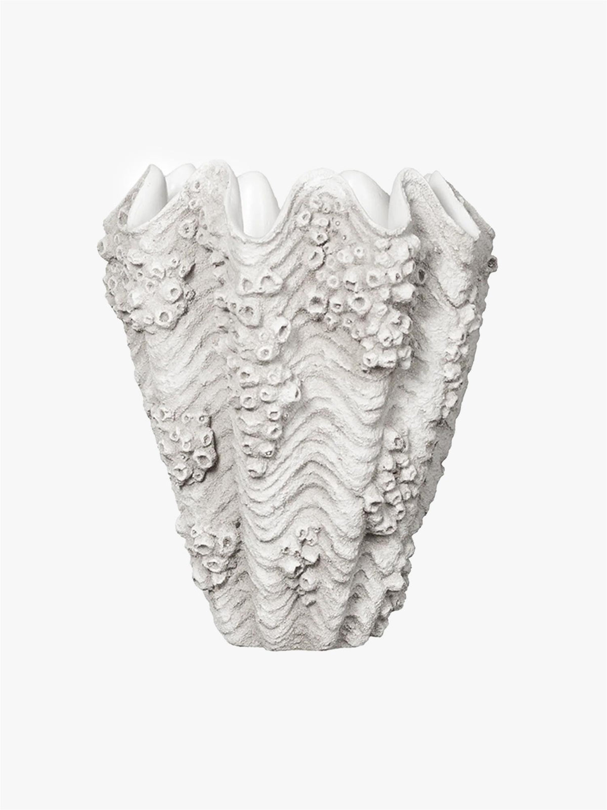 Naya vase