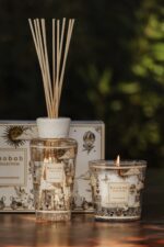 Gift box my first baobab tomorrowland - Bilde 2