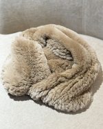 Hals rex chinchilla - Bilde 2